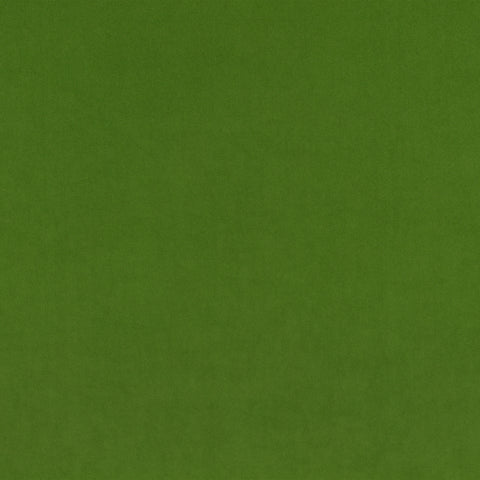 Kirkby Design Smooth Asparagus