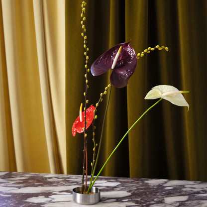 Kirkby Design Smooth Basil