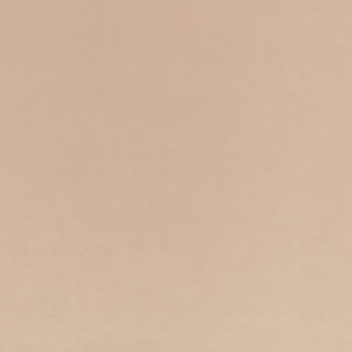 Kirkby Design Smooth Porcini