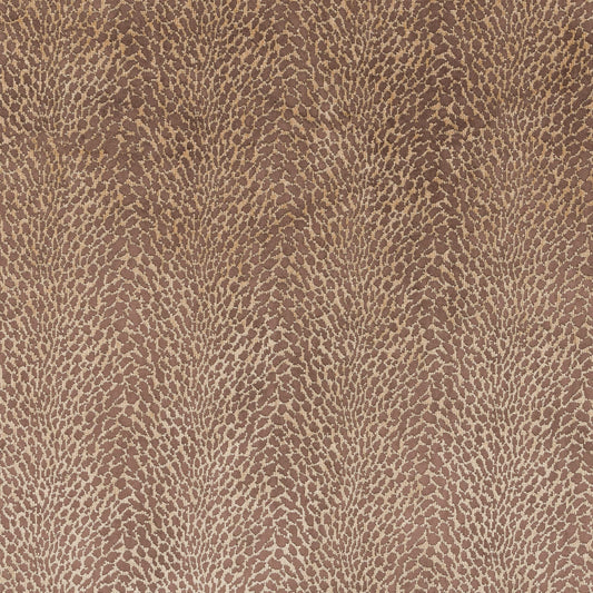 Bill Beaumont Kapuri Coco