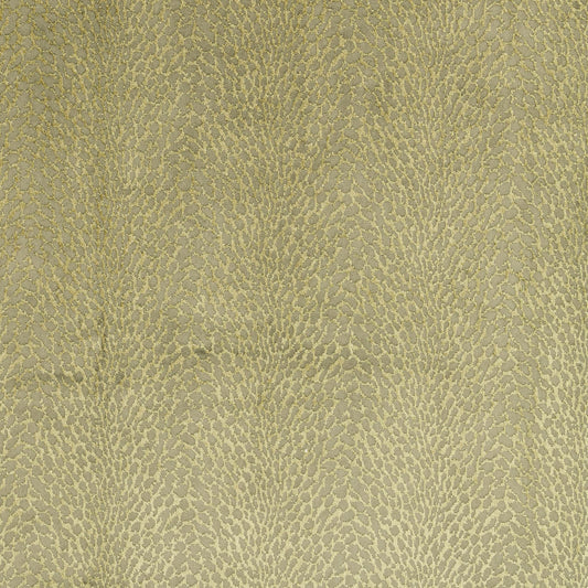 Bill Beaumont Kapuri Verde