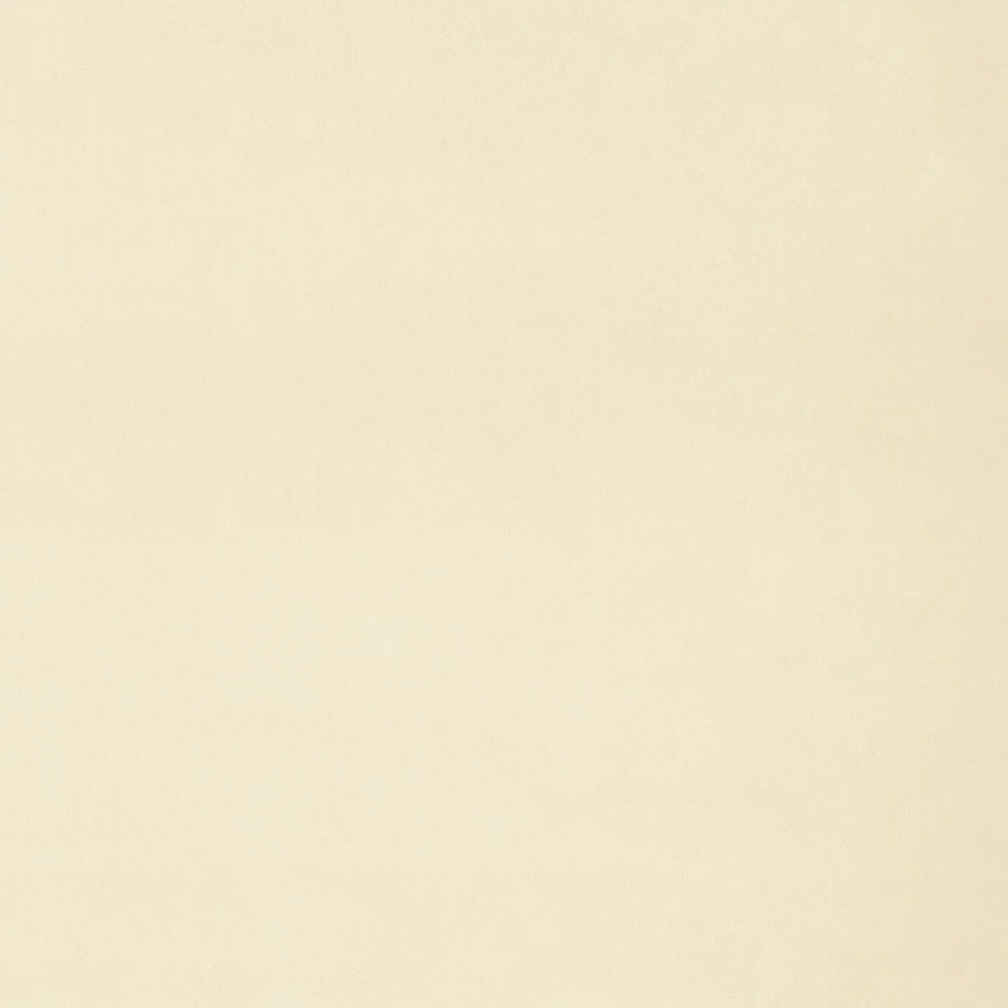 Linwood Omega Biscuit