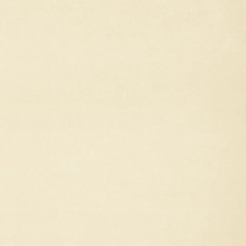 Linwood Omega Biscuit