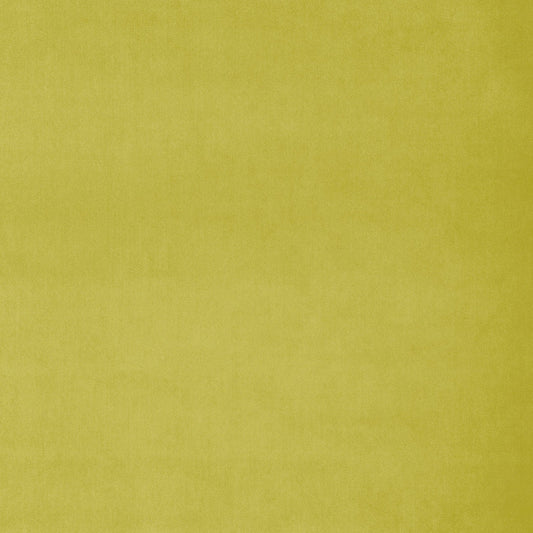 Linwood Omega Wattle