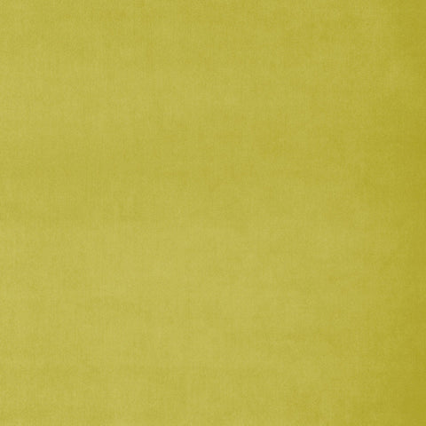 Linwood Omega Wattle