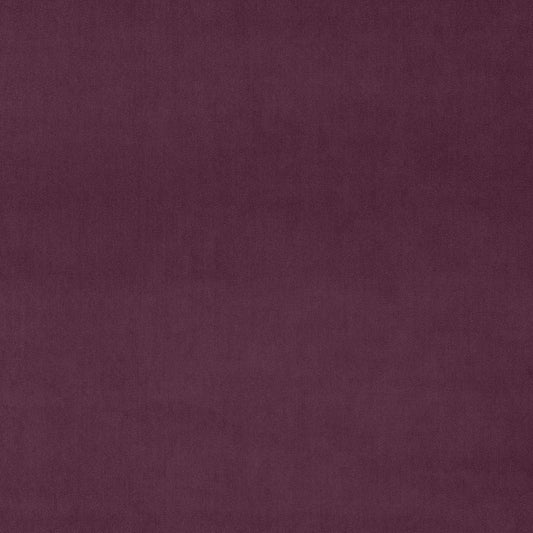 Linwood Omega Turkish