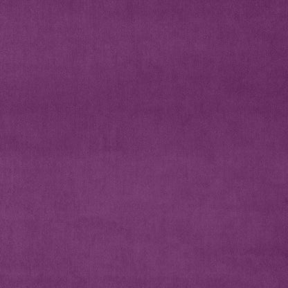 Linwood Omega Orchid