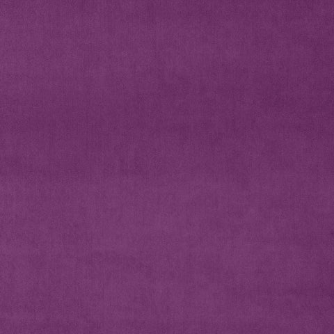 Linwood Omega Orchid