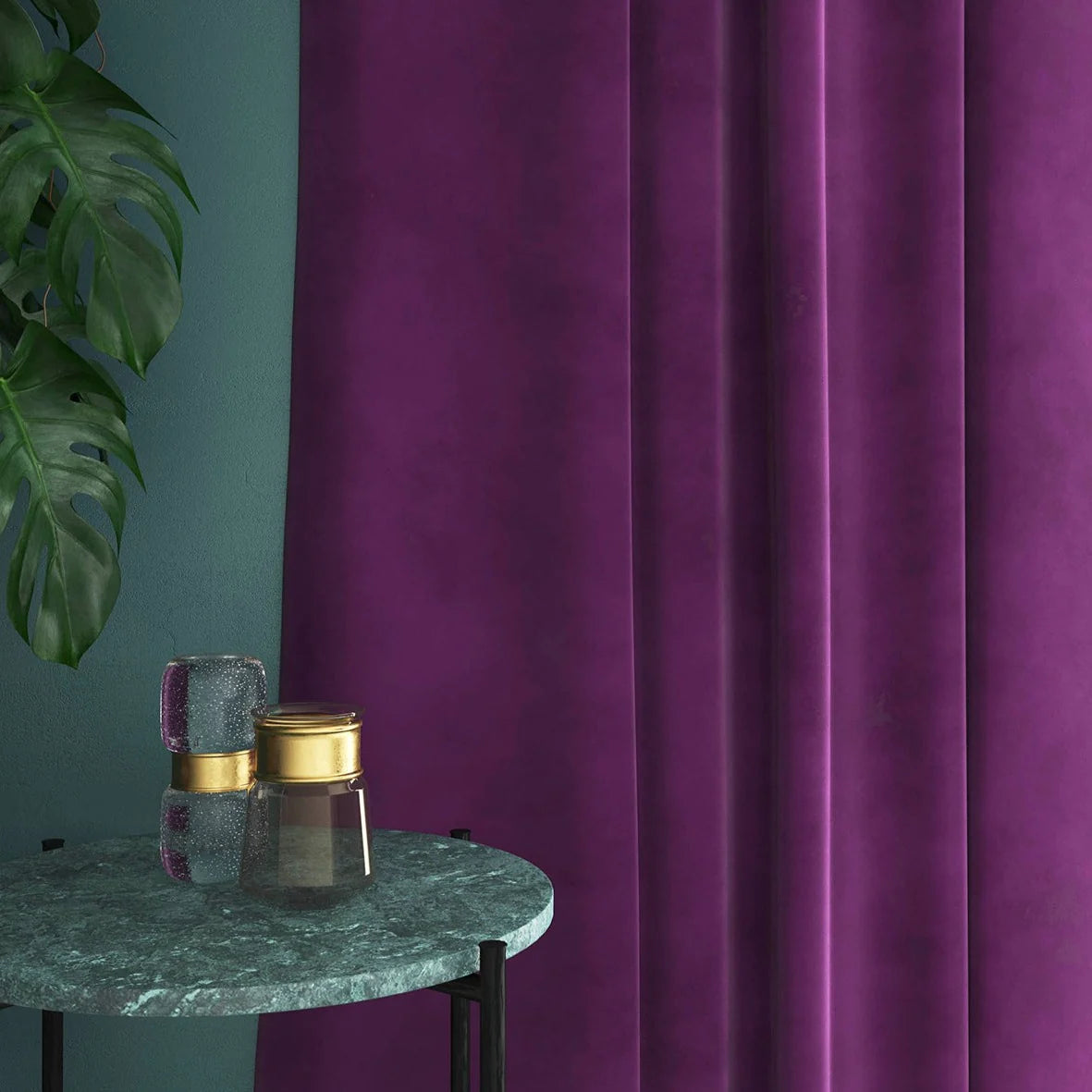 Linwood Omega Orchid