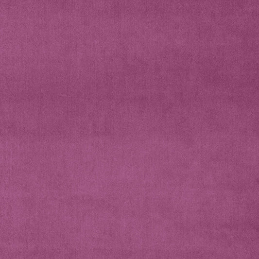 Linwood Omega Cerise