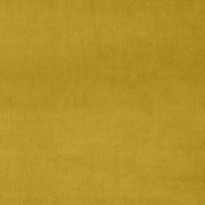 Linwood Omega Canary