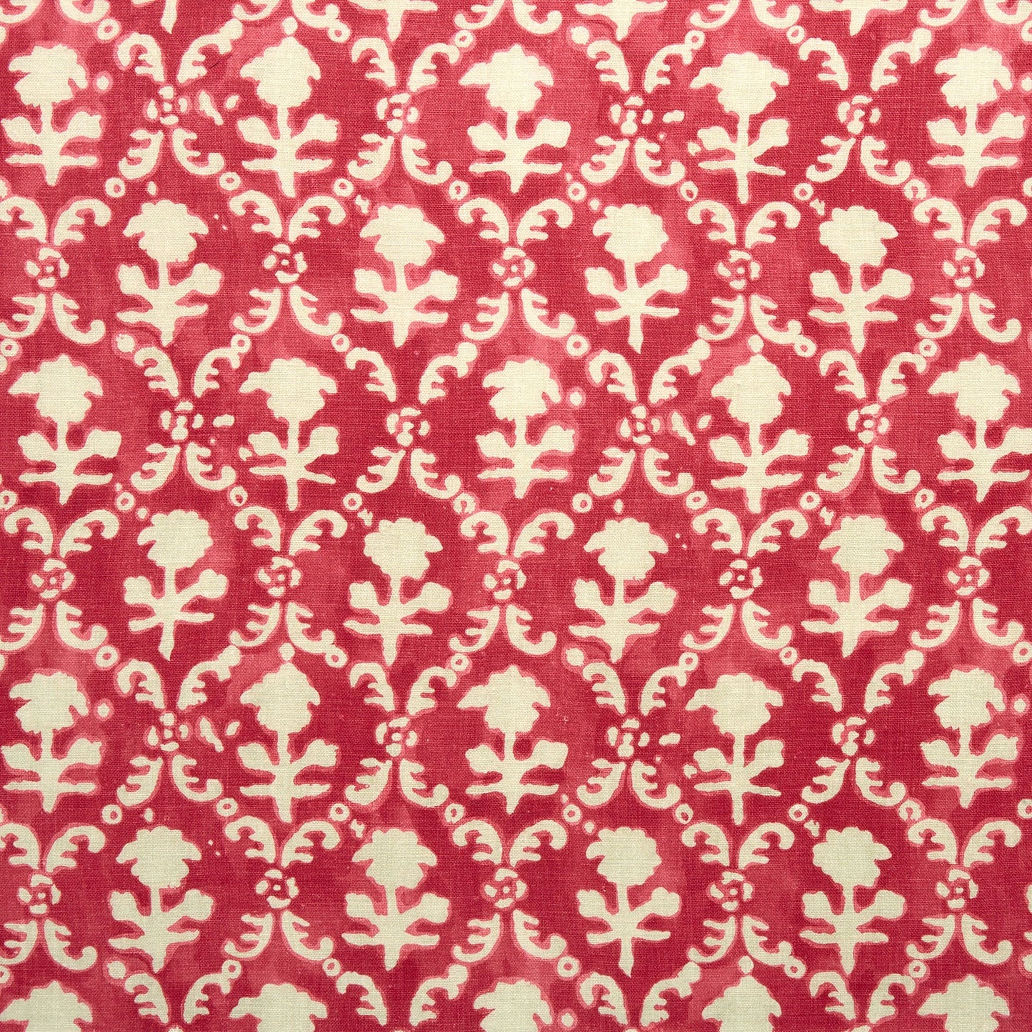 Linwood Hinako Dragon Fruit