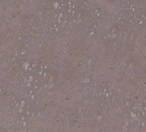 Today Interiors Sobralia Quartz