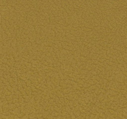 Today Interiors Bletia Gold