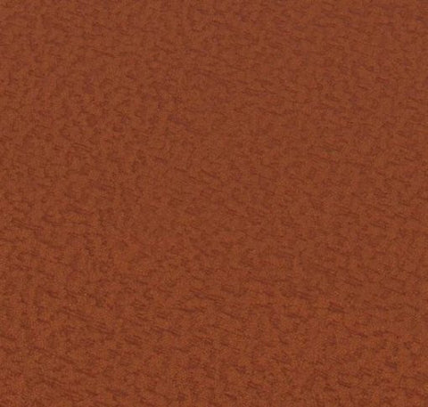 Today Interiors Bletia Rust