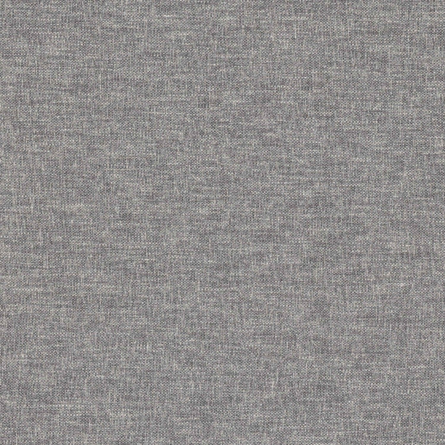 Warwick Linden Beluga