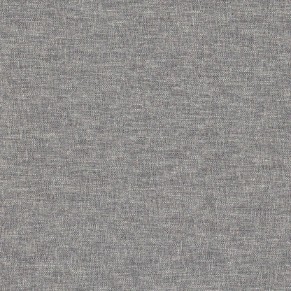 Warwick Linden Beluga