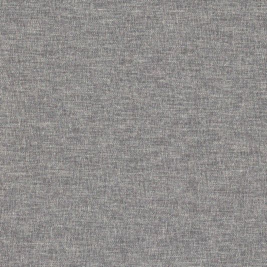 Warwick Linden Beluga