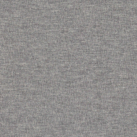 Warwick Linden Beluga