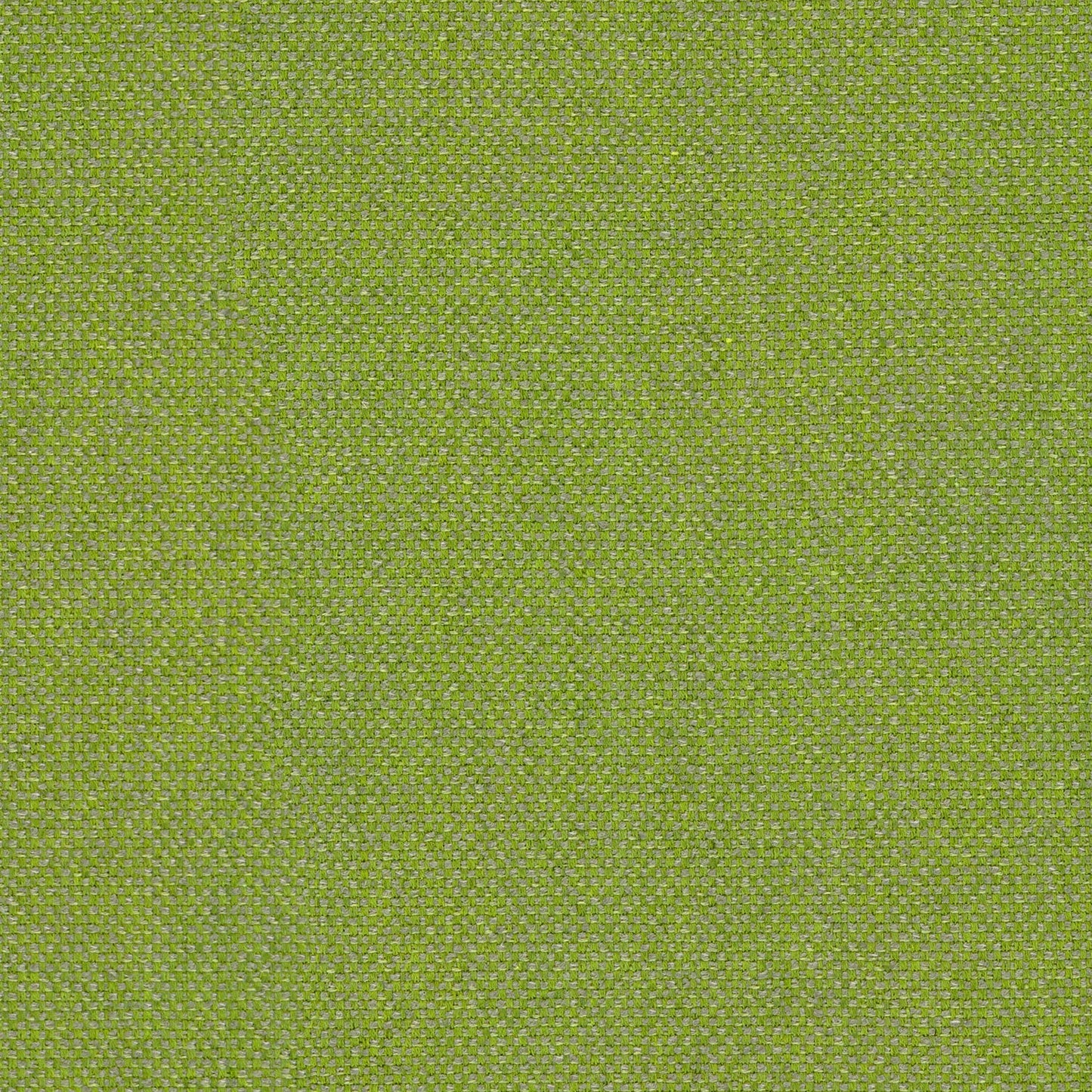 Linwood Loxley Apple