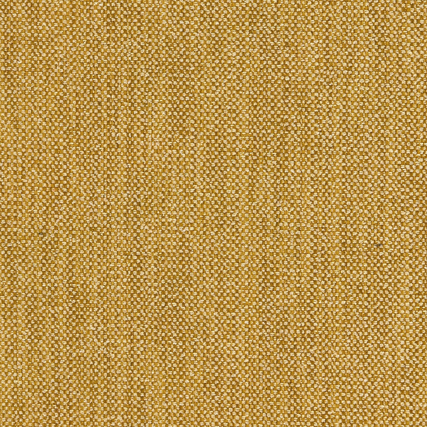 Linwood Loxley Ochre