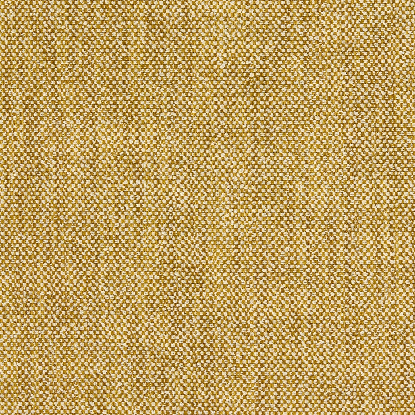 Linwood Loxley Sand Dune