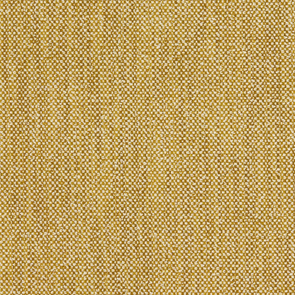 Linwood Loxley Sand Dune