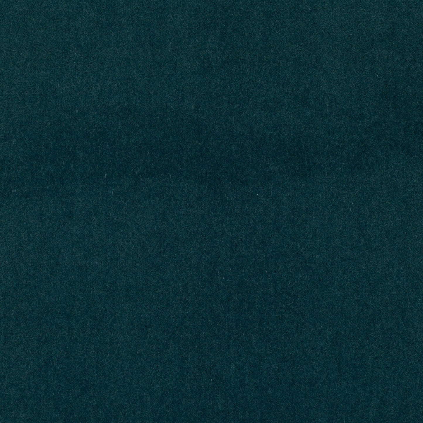 Mark Alexander Plush Ottanio