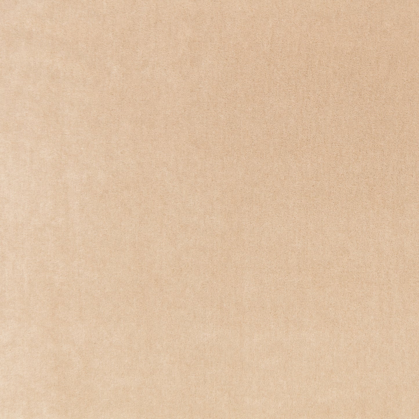 Mark Alexander Plush Camel