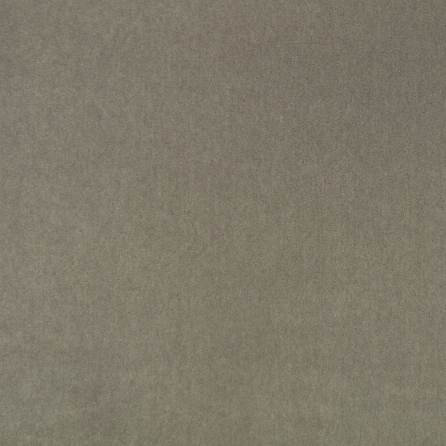 Mark Alexander Plush Roman