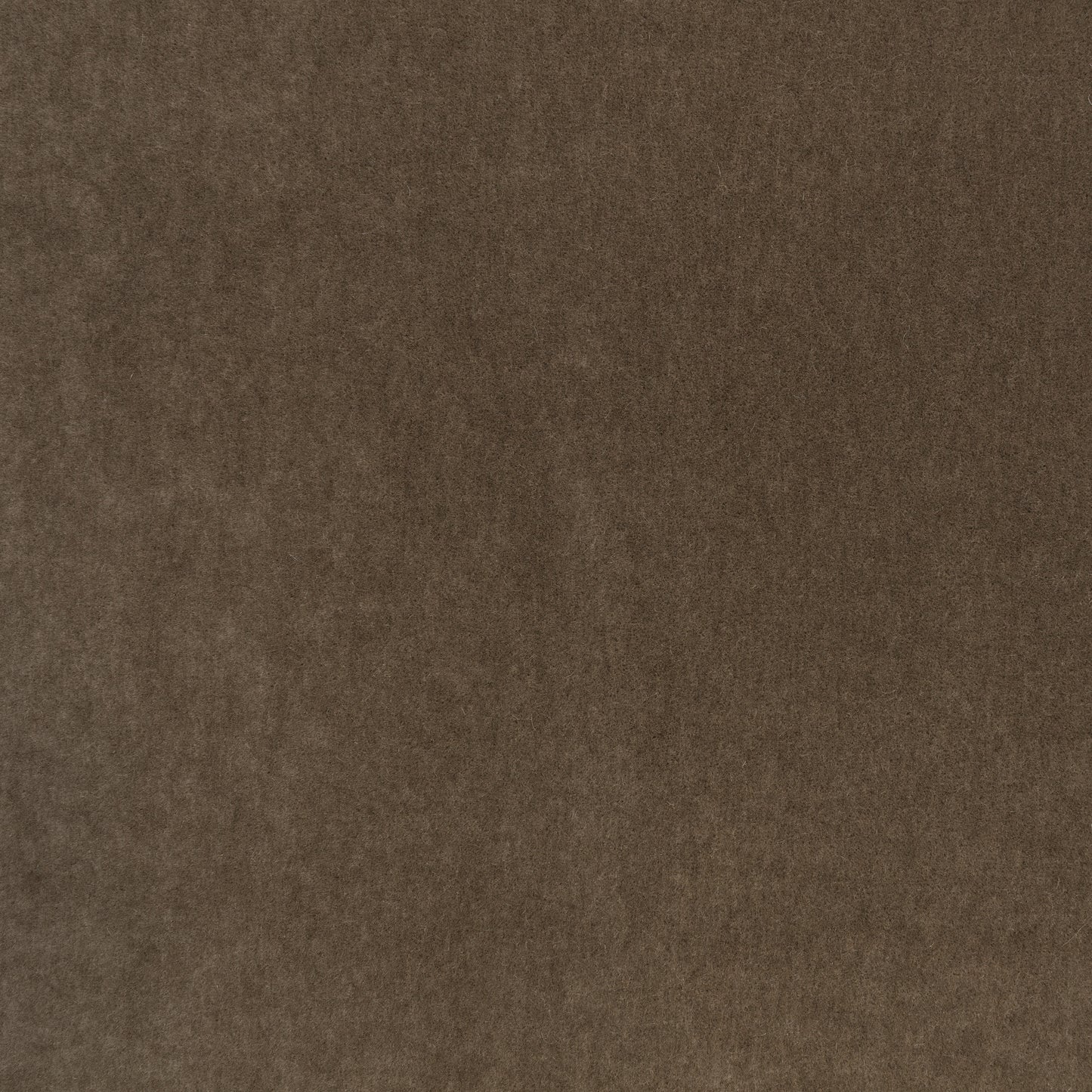 Mark Alexander Plush Chocolate