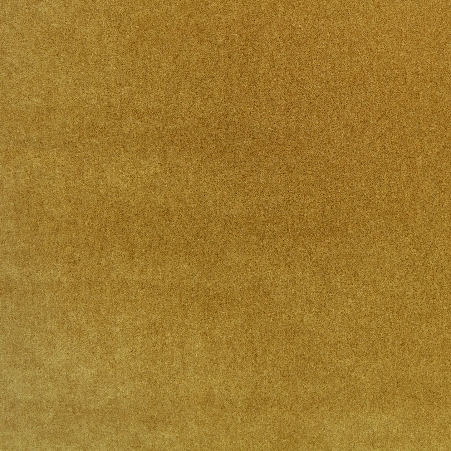 Mark Alexander Plush Ochre