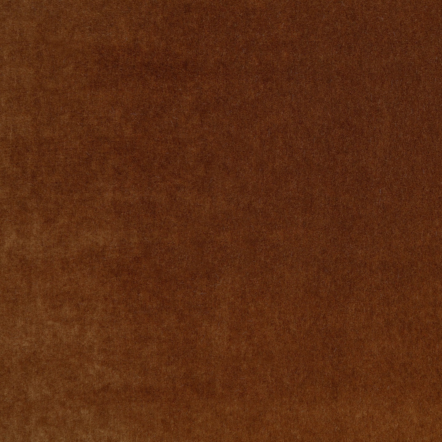 Mark Alexander Plush Sienna