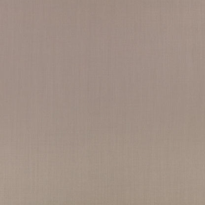 Mark Alexander Town Roman