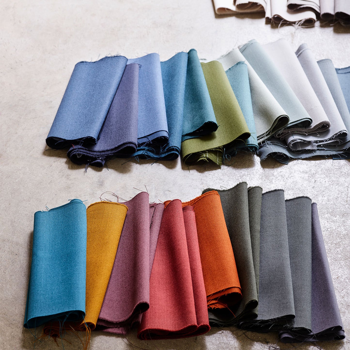 Mark Alexander Town Fossil