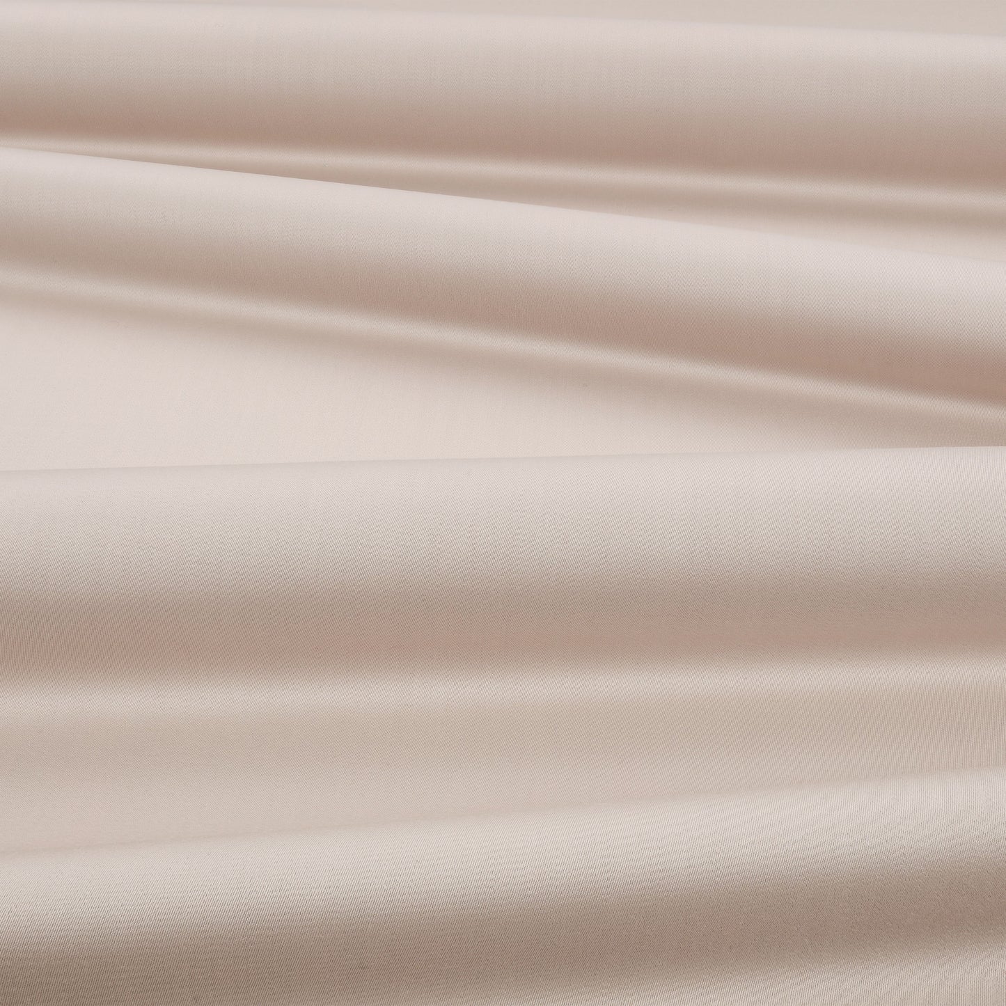 Mark Alexander Town Fossil