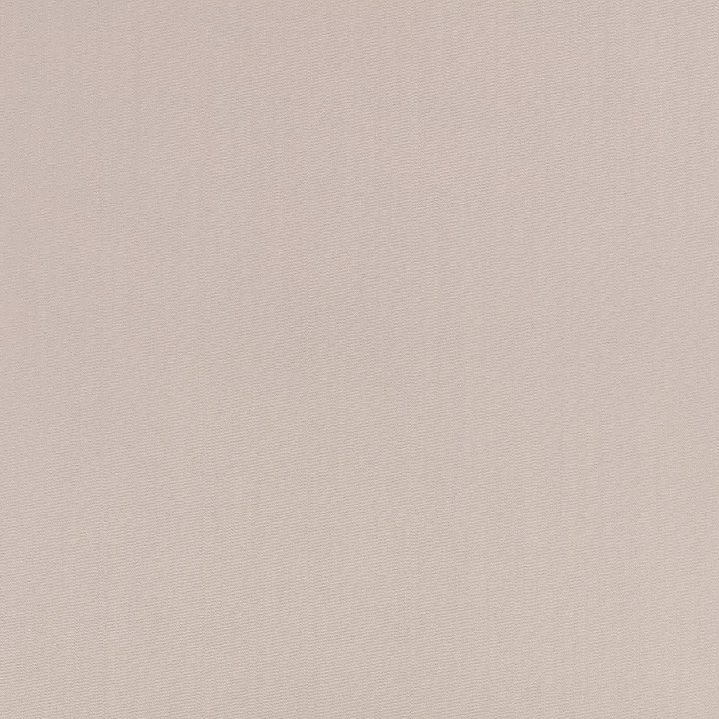 Mark Alexander Town Fossil