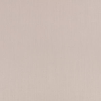 Mark Alexander Town Fossil