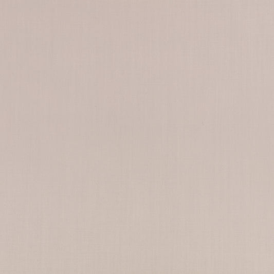 Mark Alexander Town Fossil