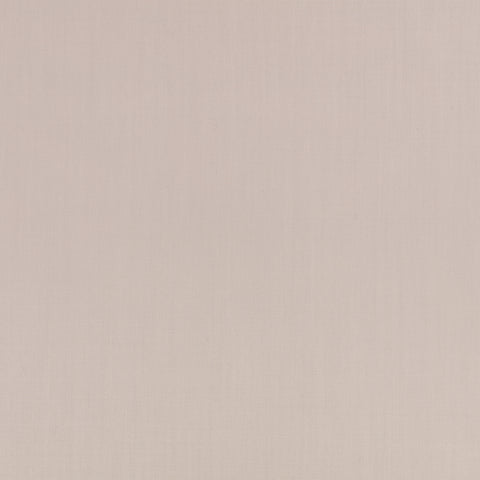 Mark Alexander Town Fossil