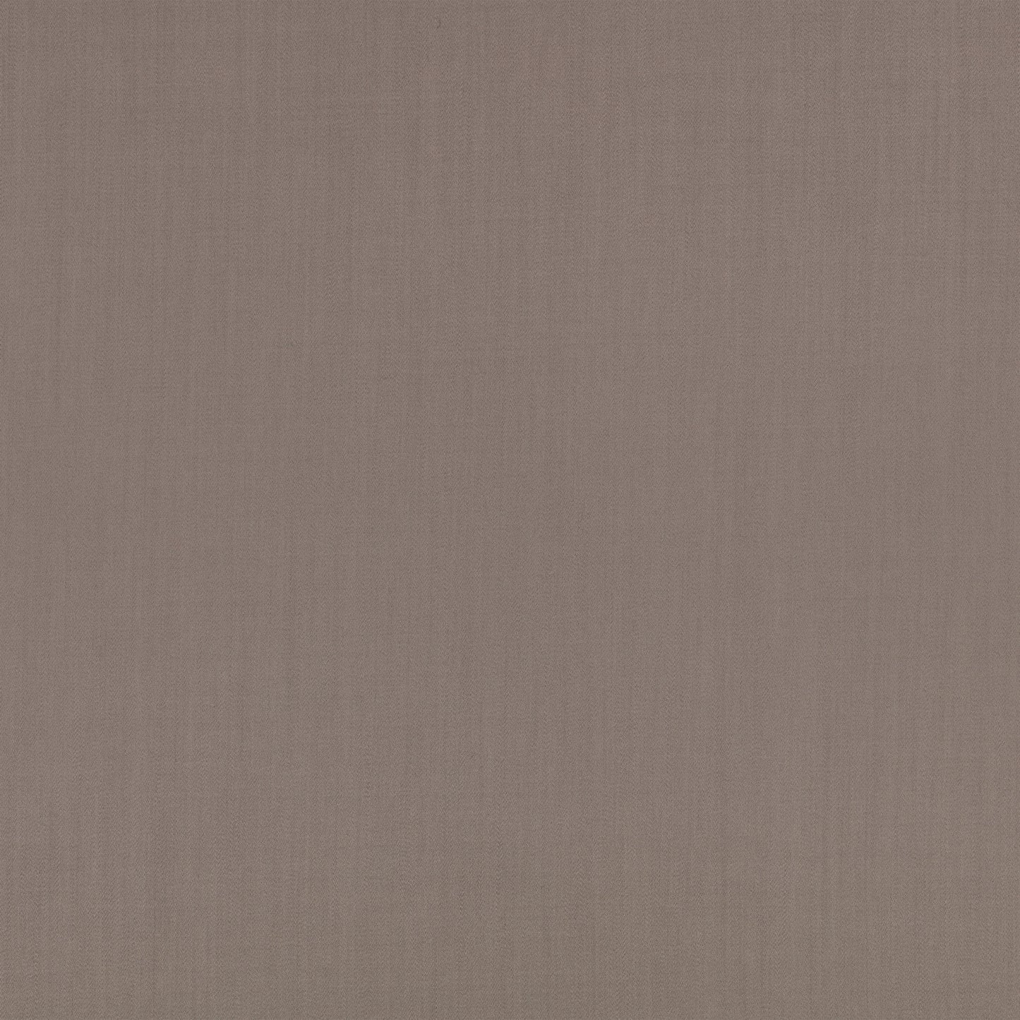 Mark Alexander Town Mouse