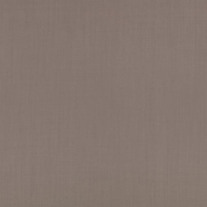 Mark Alexander Town Mouse