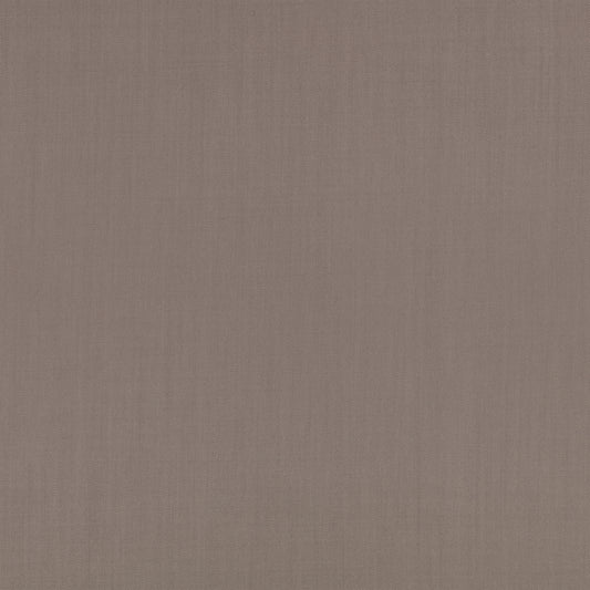 Mark Alexander Town Mouse