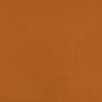 Mark Alexander Town Rust