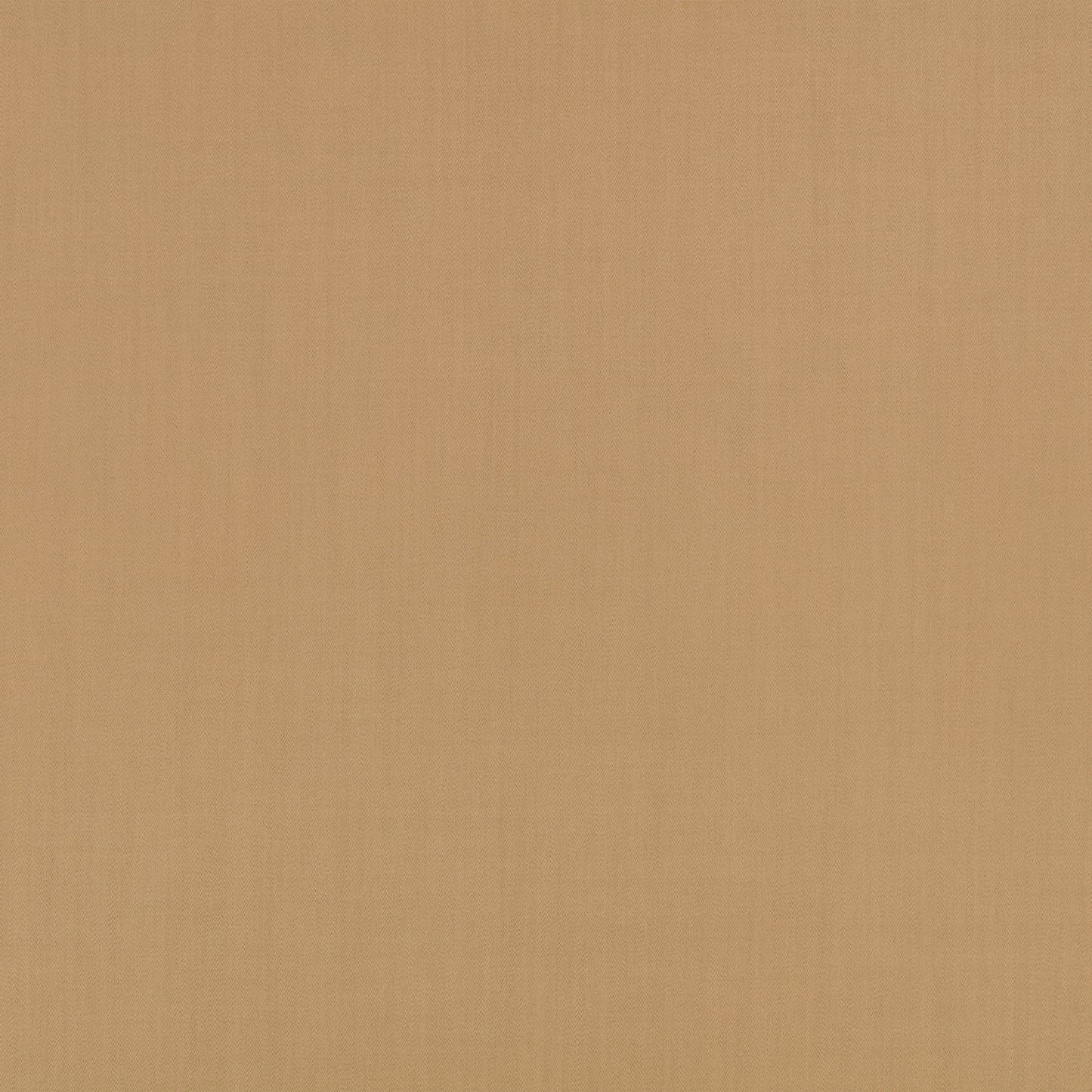 Mark Alexander Town Camel