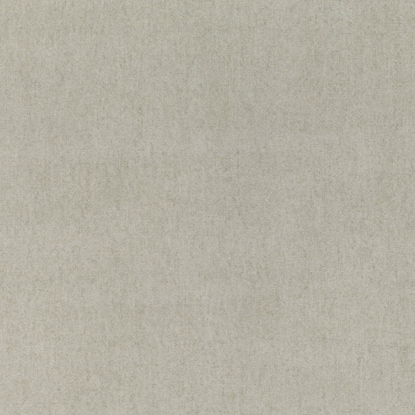 Mark Alexander Spirit Silverbirch