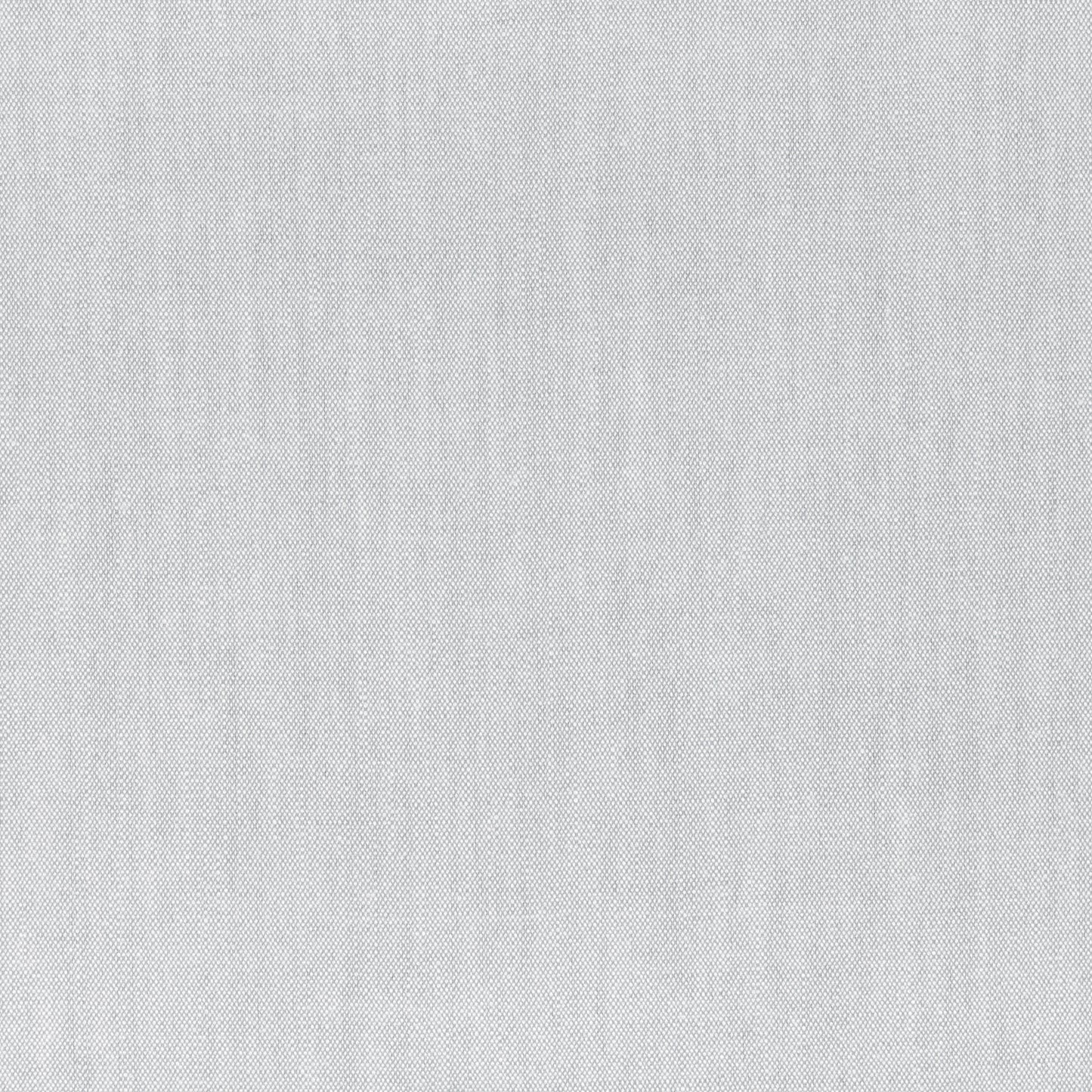 Mark Alexander Nantucket Dove