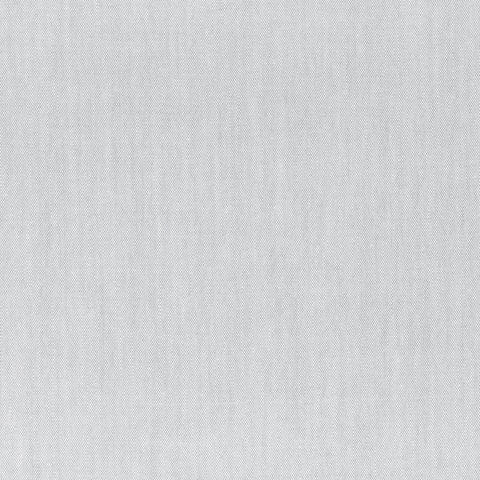 Mark Alexander Nantucket Dove