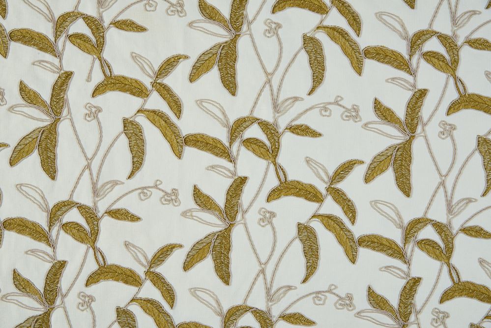 Bill Beaumont Menara Olive