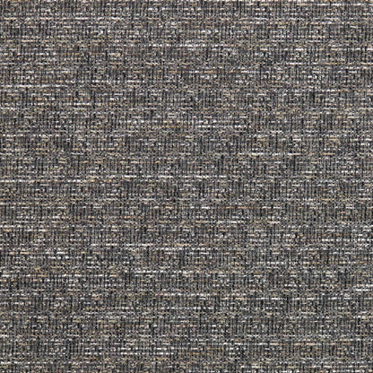 Warwick Madison Storm